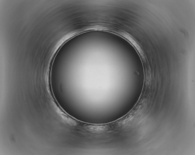 X0000111490861200907141237