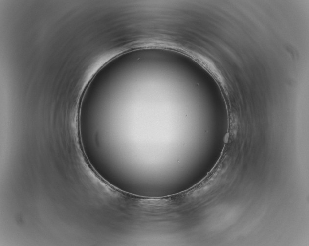 X0000111490863200907141237