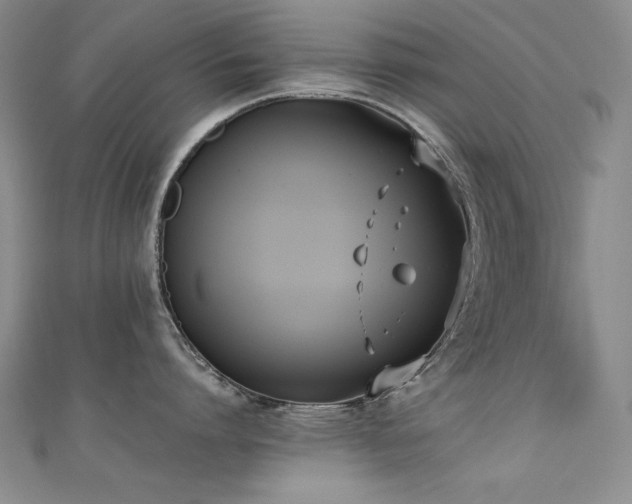 X0000111490864200907141237