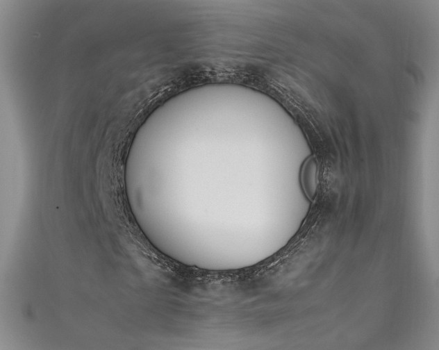 X0000111490865200907141237