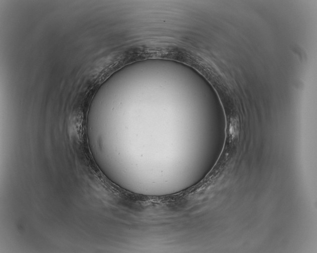 X0000111490867200907141237