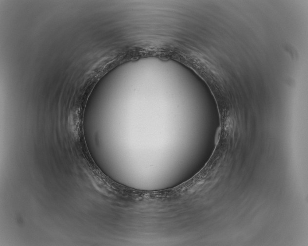 X0000111490868200907141237