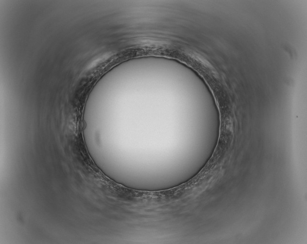 X0000111490869200907141237