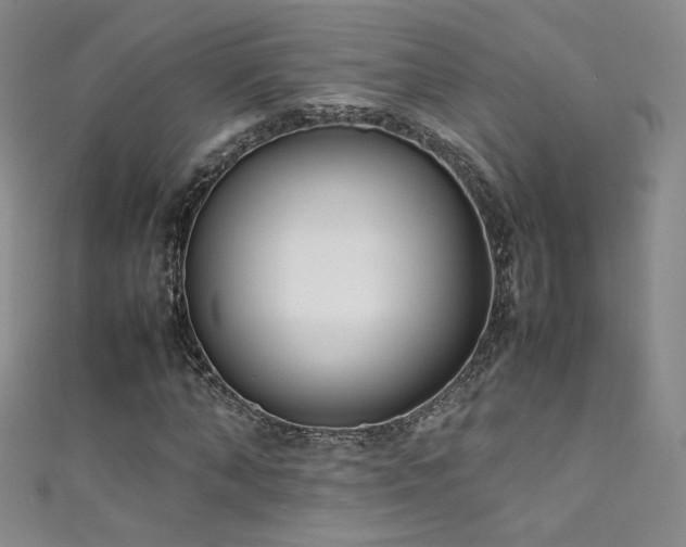 X0000111490870200907141237