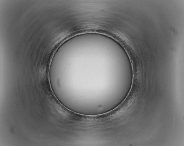 X0000111490873200907141237