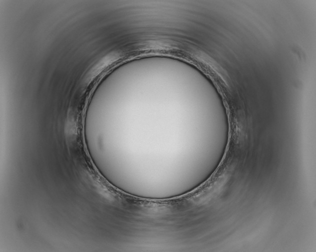 X0000111490874200907141236