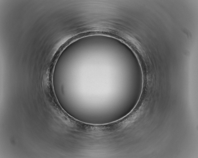 X0000111490875200907141236