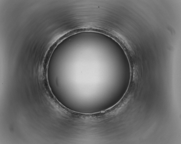 X0000111490876200907141236