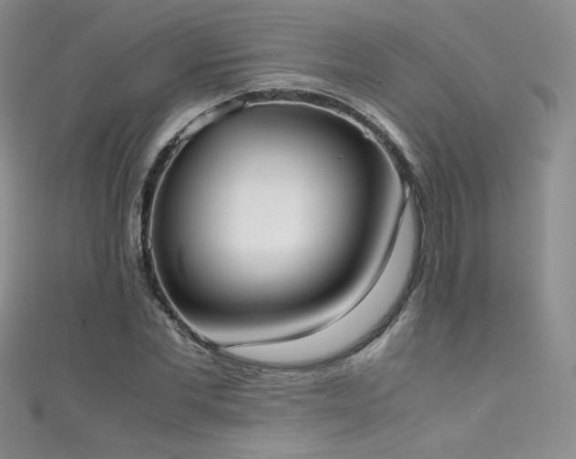 X0000111490877200907141236