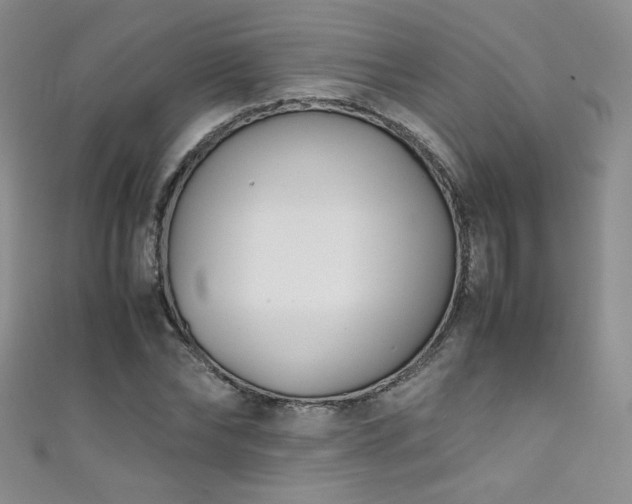 X0000111490878200907141236