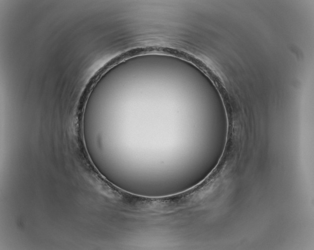 X0000111490879200907141236
