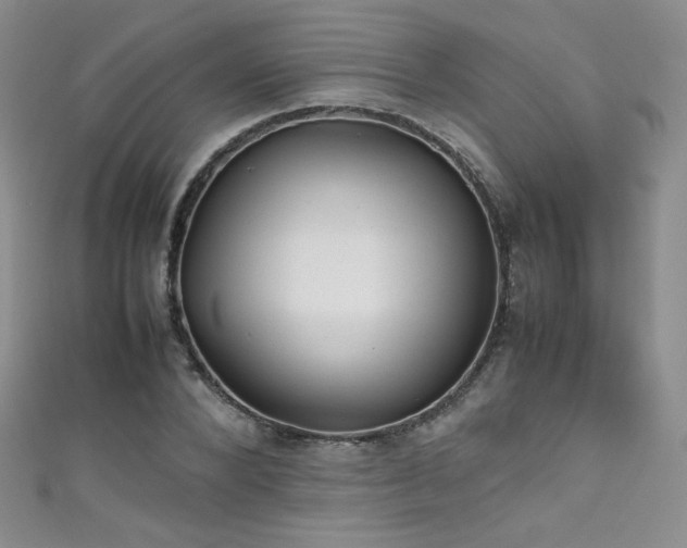 X0000111490880200907141236