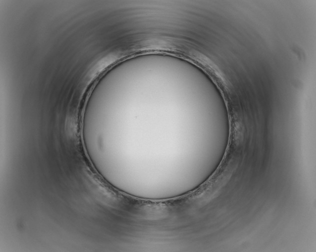 X0000111490882200907141236