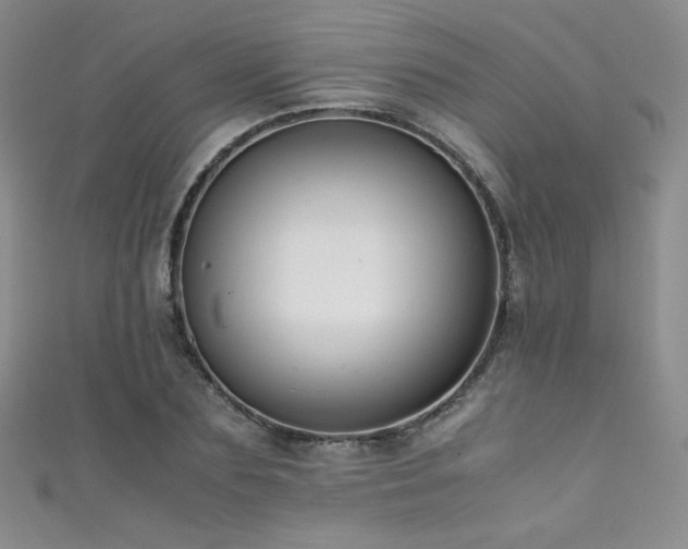 X0000111490883200907141236