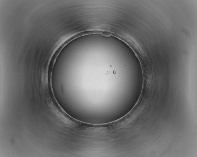 X0000111490884200907141236