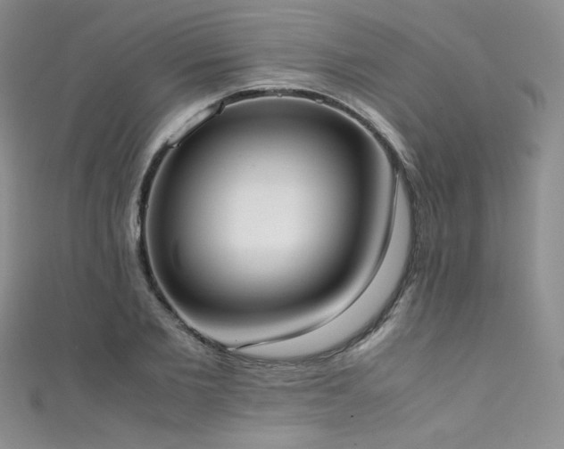 X0000111490885200907141236