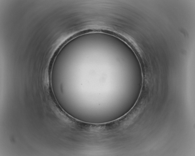 X0000111490887200907141236