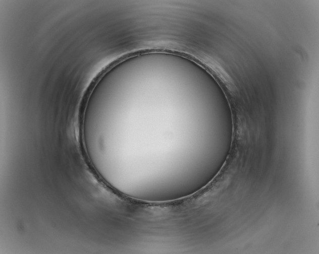 X0000111490888200907141236