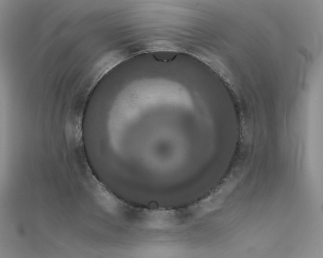 X0000111490889200907141236