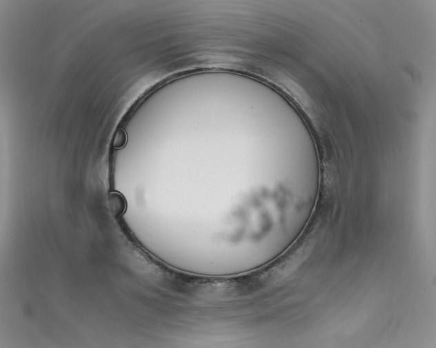X0000111490891200907141236