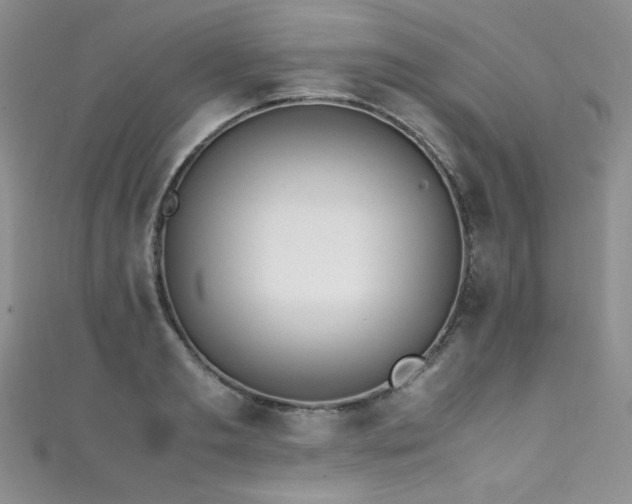 X0000111490893200907141236