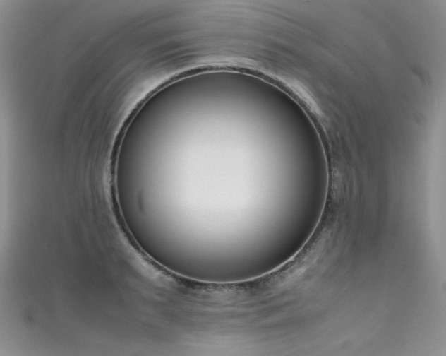 X0000111490895200907141236