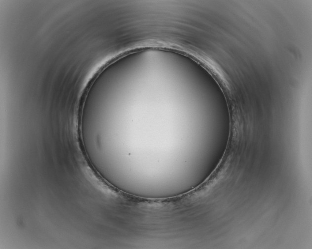 X0000111490896200907141236