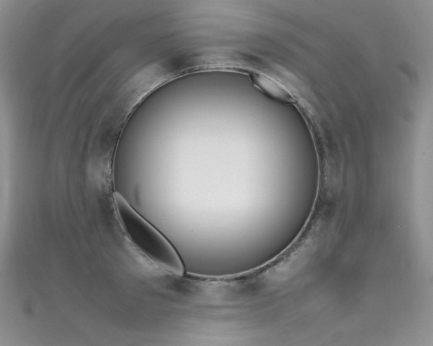 X0000111490897200907141236