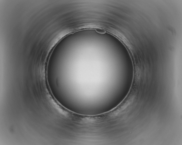 X0000111490898200907141236