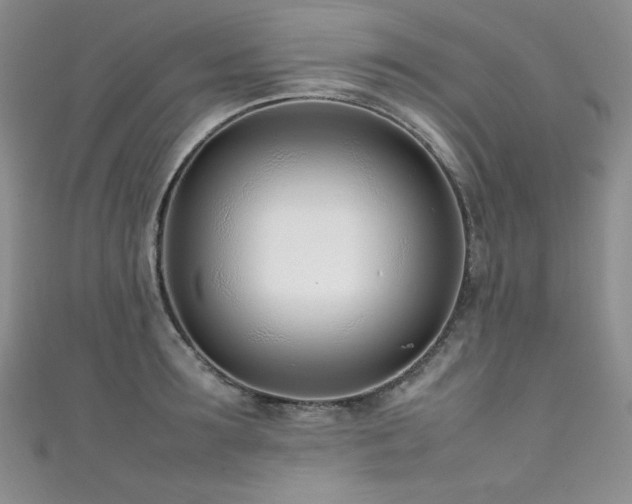 X0000111490899200907141236