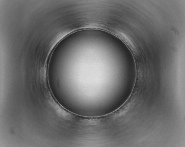 X0000111490900200907141236