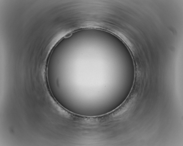 X0000111490901200907141236