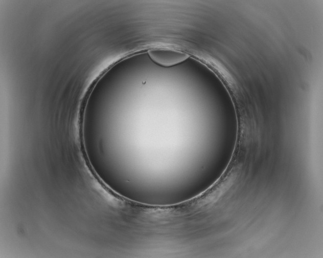 X0000111490902200907141236