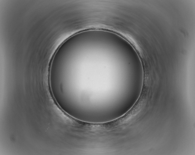 X0000111490903200907141236