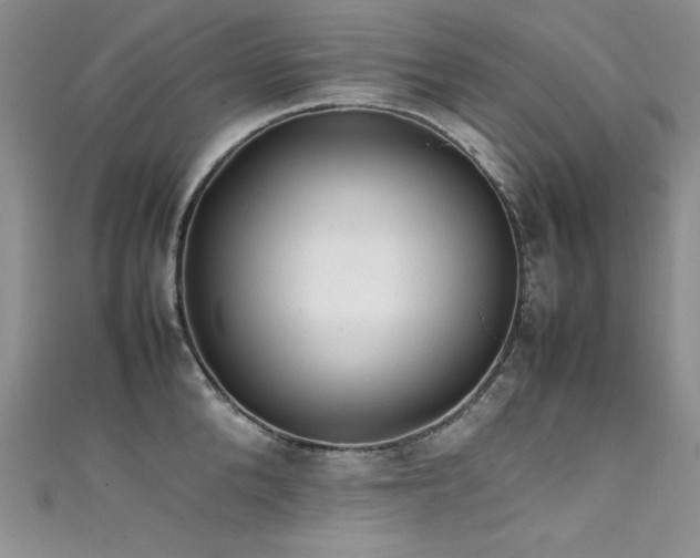 X0000111490904200907141236