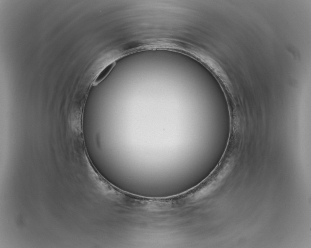 X0000111490905200907141236