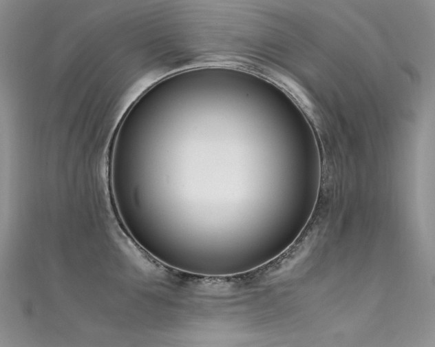 X0000111490907200907141236