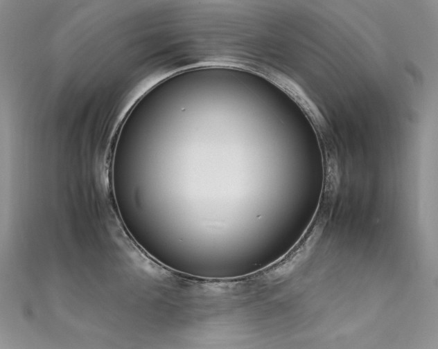 X0000111490908200907141236