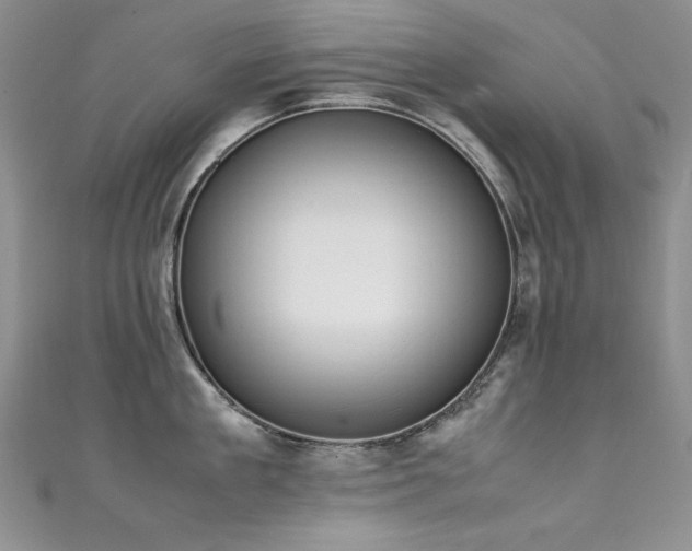 X0000111490909200907141236