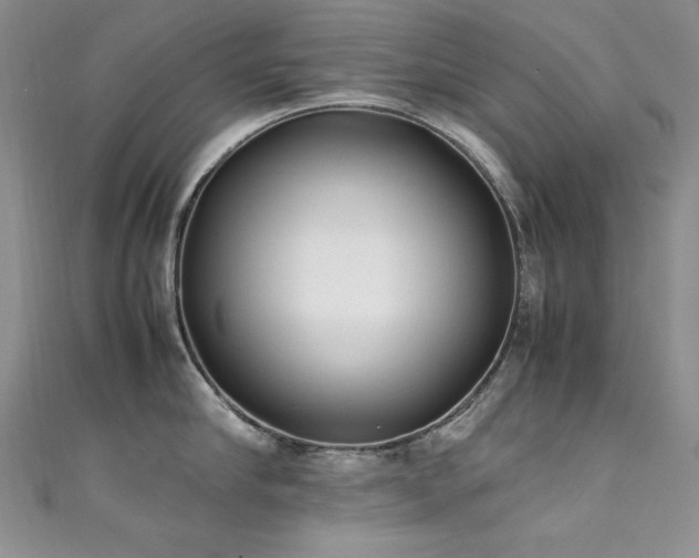 X0000111490910200907141236