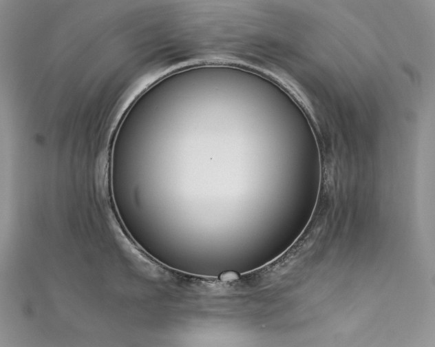 X0000111490911200907141236