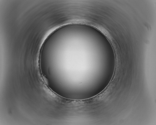 X0000111490912200907141236