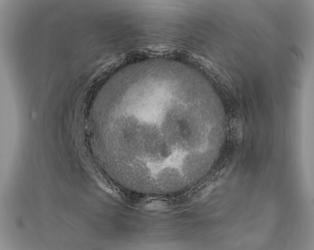 X0000111490913200907141235