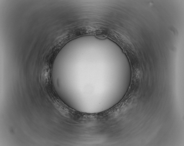 X0000111490914200907141235