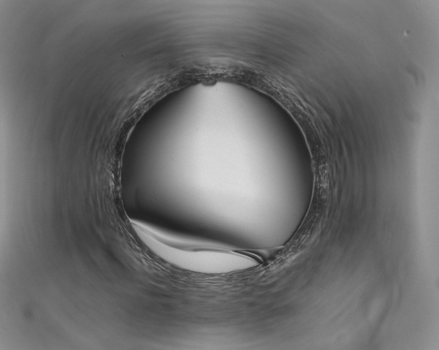 X0000111490916200907141235