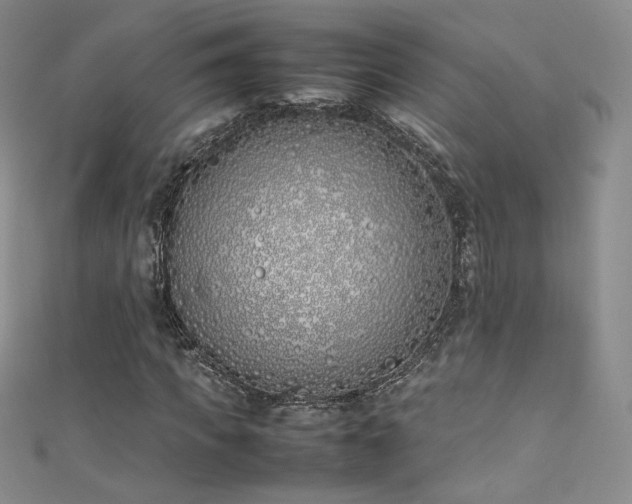 X0000111490917200907141235
