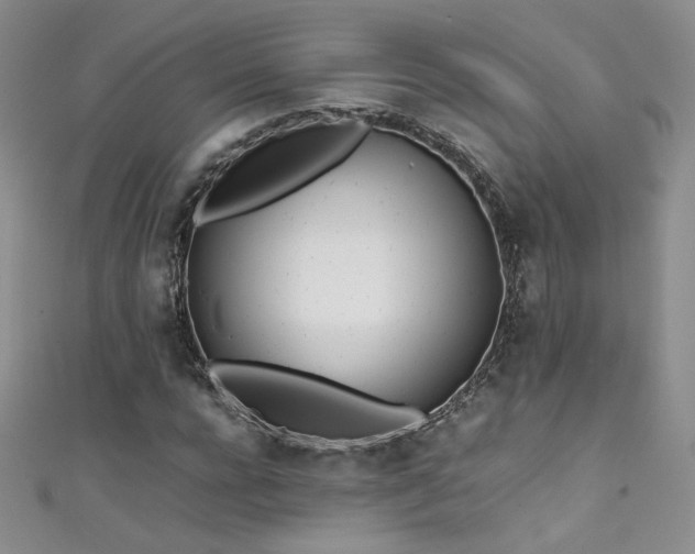 X0000111490920200907141235