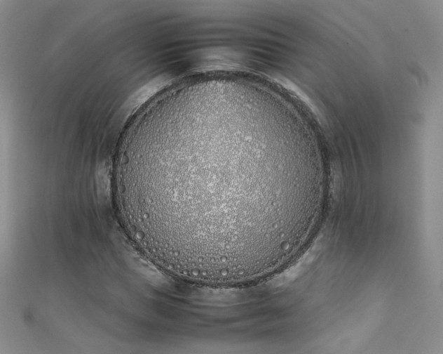 X0000111490921200907141235