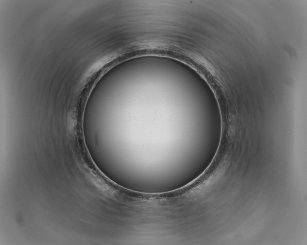 X0000111490922200907141236