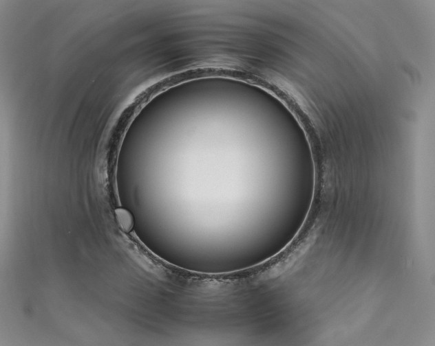 X0000111490923200907141236